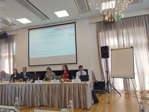 Zdjęcie z Warsztatów i Spotkania Ekspertów ds. Statystyk SDG w regionie EK