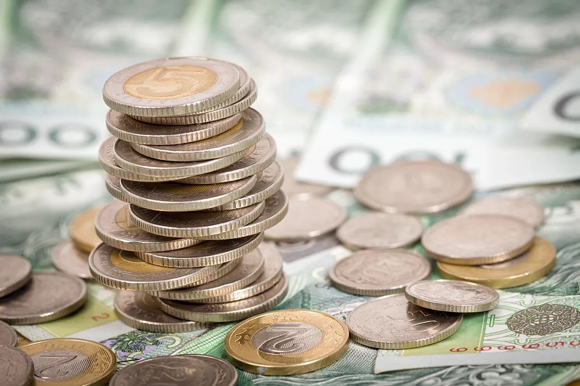 Na zdjęciu znajdują się polskie banknoty.  