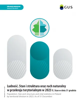Powiększ obraz: Ludność.  Stan  i  struktura  ludności  w  dniu  31.12  Okładka