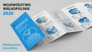 Powiększ obraz: Wielkopolskie  voivodship  2020