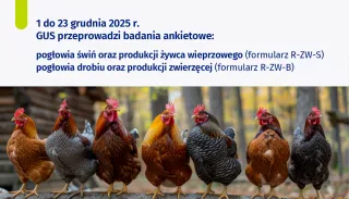 Powiększ obraz:  1 do 23 grudnia 2025 r. GUS przeprowadzi badania ankietowestatystyczne z zakresu rolnictwa: Badanie pogłowia świń oraz produkcji żywca wieprzowego (R-ZW-S) Badanie pogłowia drobiu oraz produkcji zwierzęcej (R-ZW-B)