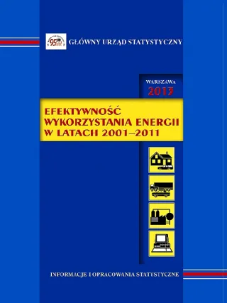 Powiększ obraz: okładka publikacji Efektywność wykorzystania energii w latach 2001-2011