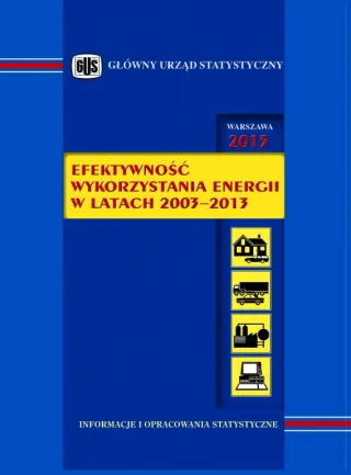 Powiększ obraz: okładka publikacji Efektywność wykorzystania energii w latach 2003-2013