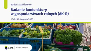 Powiększ obraz: Warzywa i owoce w skrzyniach na targu, powyżej napis badanie koniunktury w gospodarstwach rolnych (AK-R)